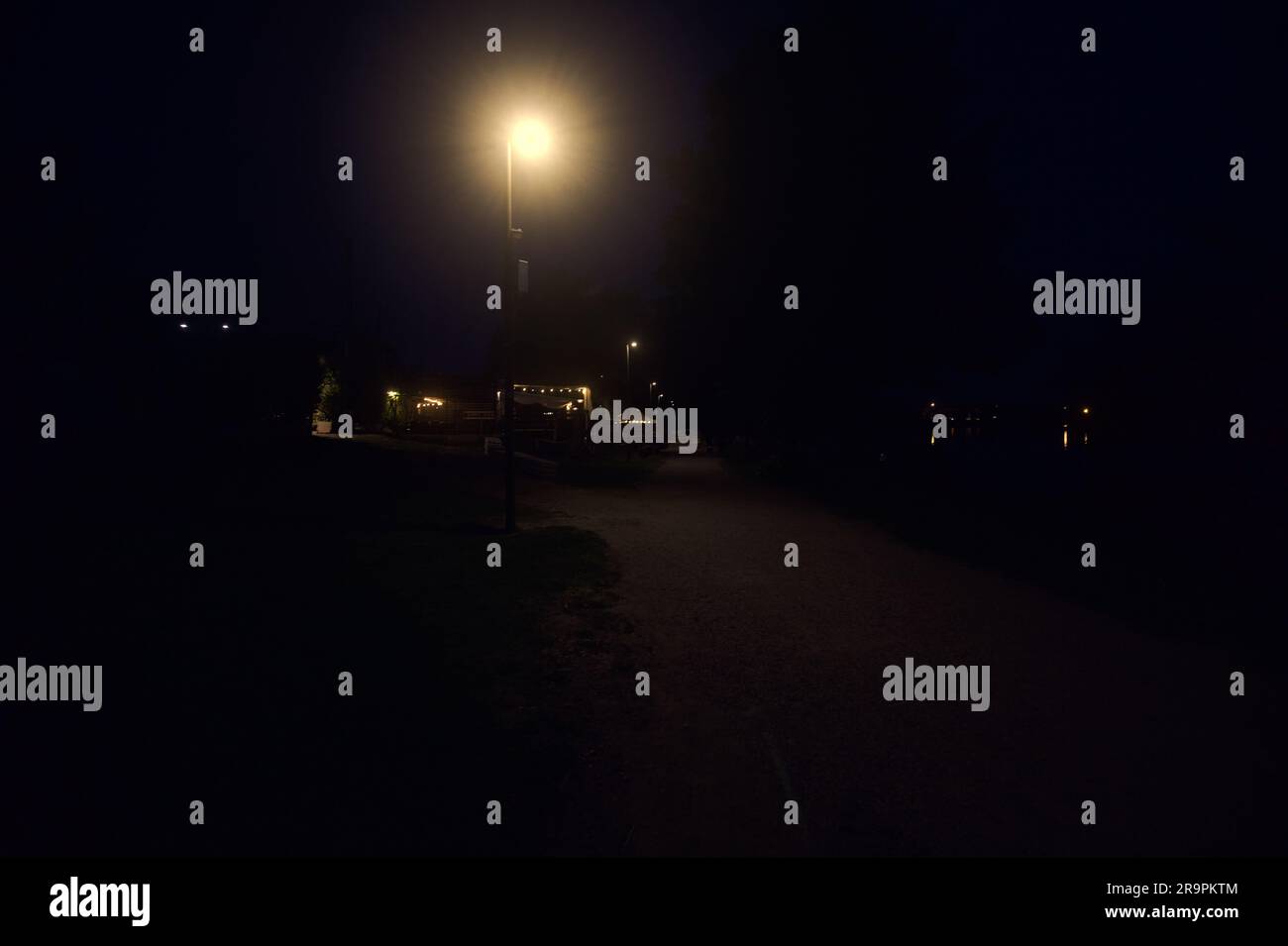 Night forest path hi-res stock photography and images - Alamy