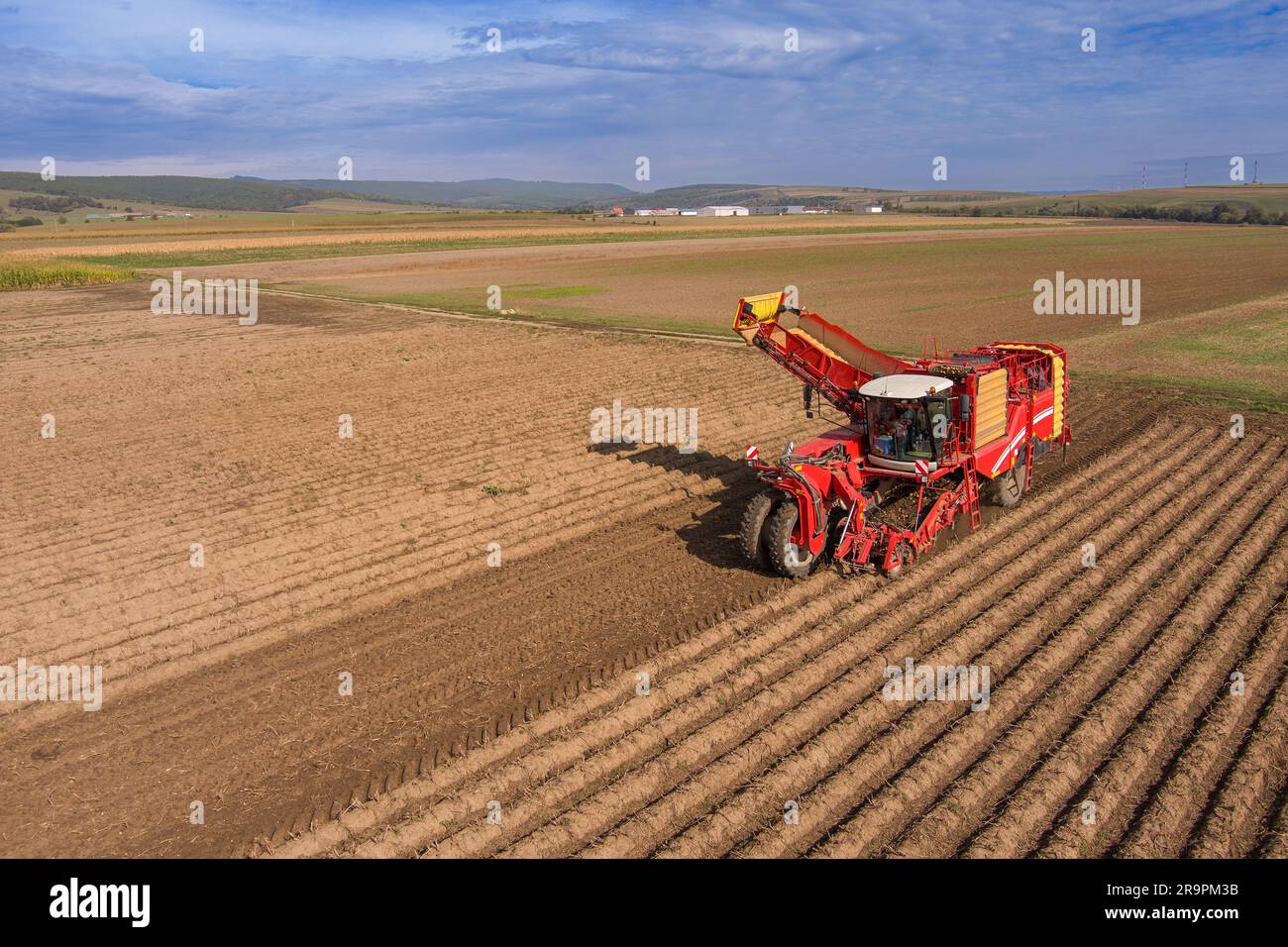 Farmers harvesting potato crop from an autumn farm Stock Photo