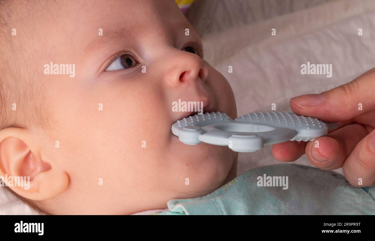 A baby boy plays with a teether during the eruption of the first teeth