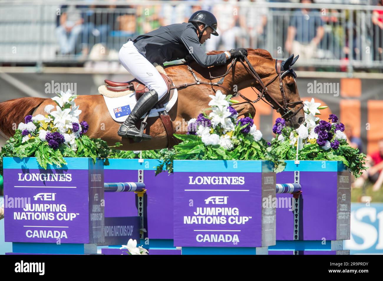 Team Australia Riders compete in the FEI Nations Cup in Langley, Canada on June 4, 2023. Stock Photo