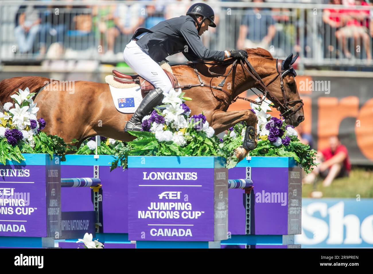 Team Australia Riders compete in the FEI Nations Cup in Langley, Canada on June 4, 2023. Stock Photo