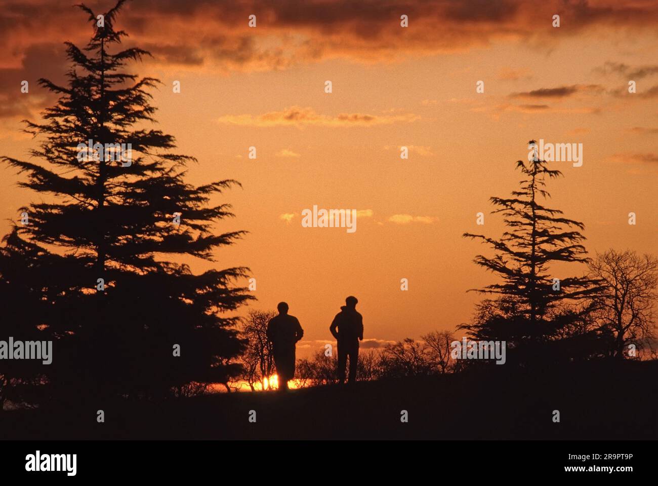 Maintained by essex county council hires stock photography and images