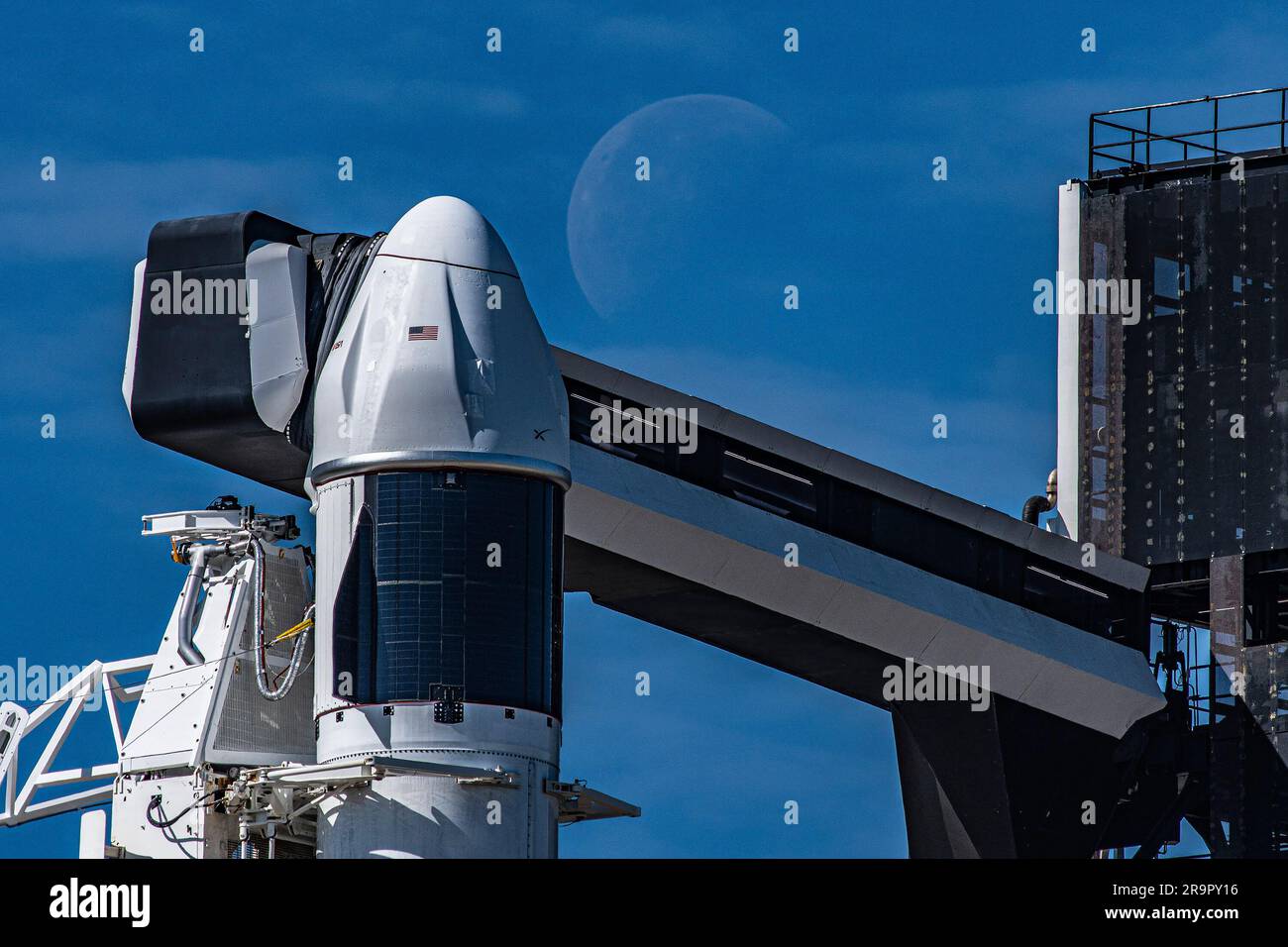 Dragon spacecraft at SpaceX headquarters, 2015 - Stock Image - C030/9058 -  Science Photo Library