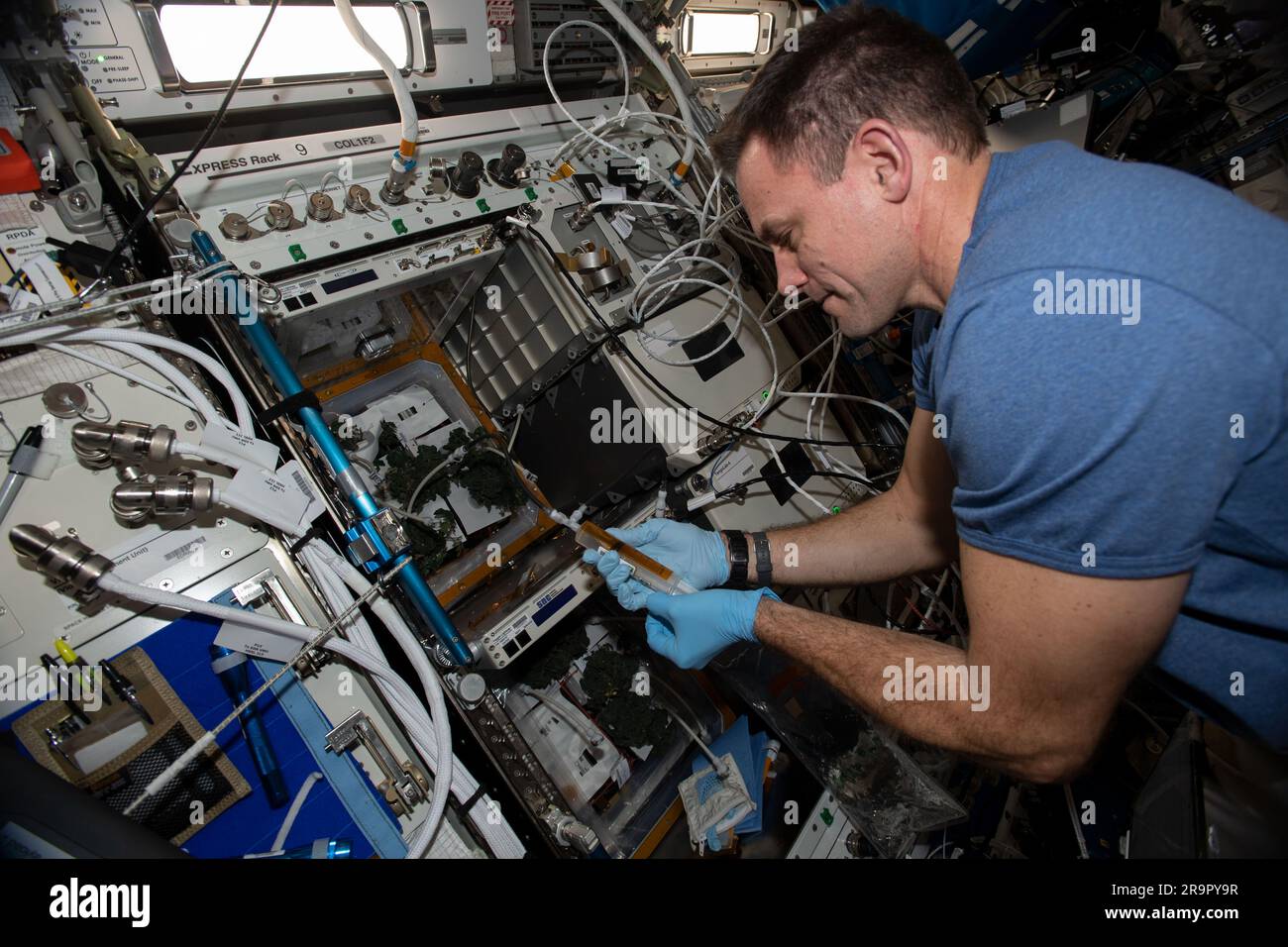 NASA astronaut Josh Cassada waters tomato plants inside the EXPRESS ...