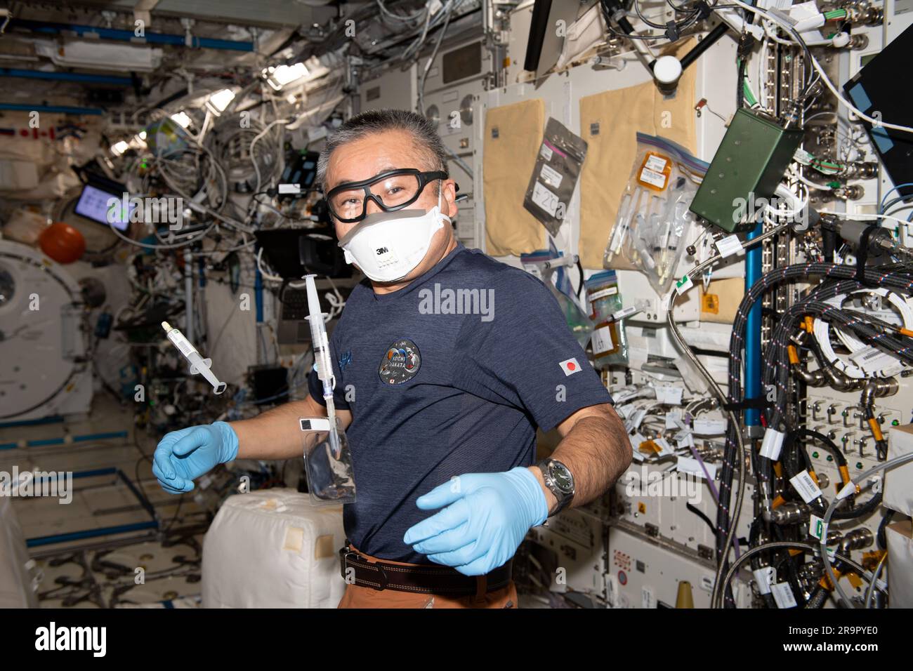 . iss068e028286 (Dec. 1, 2022) - Expedition 68 Flight Engineer Koichi Wakata of the Japan Aerospace Exploration (JAXA) works on the Neural Integration System investigation. The investigation uses nematodes (also known as roundworms) to examine how microgravity affects the nervous system. Previous experiments have shown that the C. elegans nematode species experiences muscle atrophy and reduced motor activity and metabolism in microgravity. Research also has shown that space can affect the nervous system, and neural networks may transmit the effects of microgravity throughout the body. Results Stock Photo