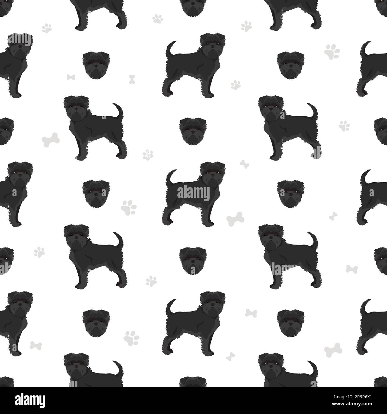 Affenpinscher all colours seamless pattern. Different coat colors set