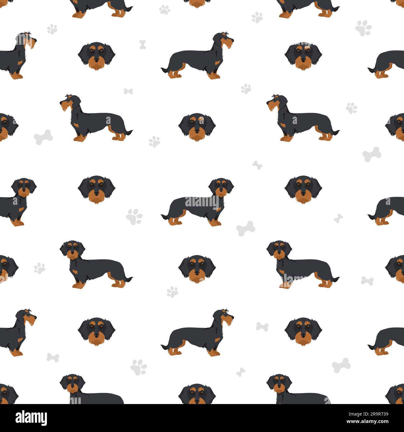 Dachshund wire haired seamless pattern. Different poses, coat colors set.  Vector illustration Stock Vector