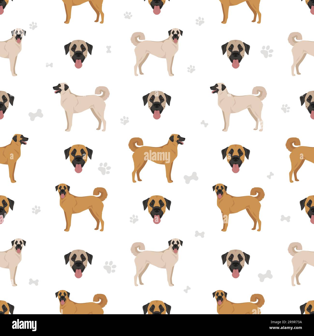 Anatolian shepherd all colours seamless pattern. Different coat colors and poses set.  Vector illustration Stock Vector