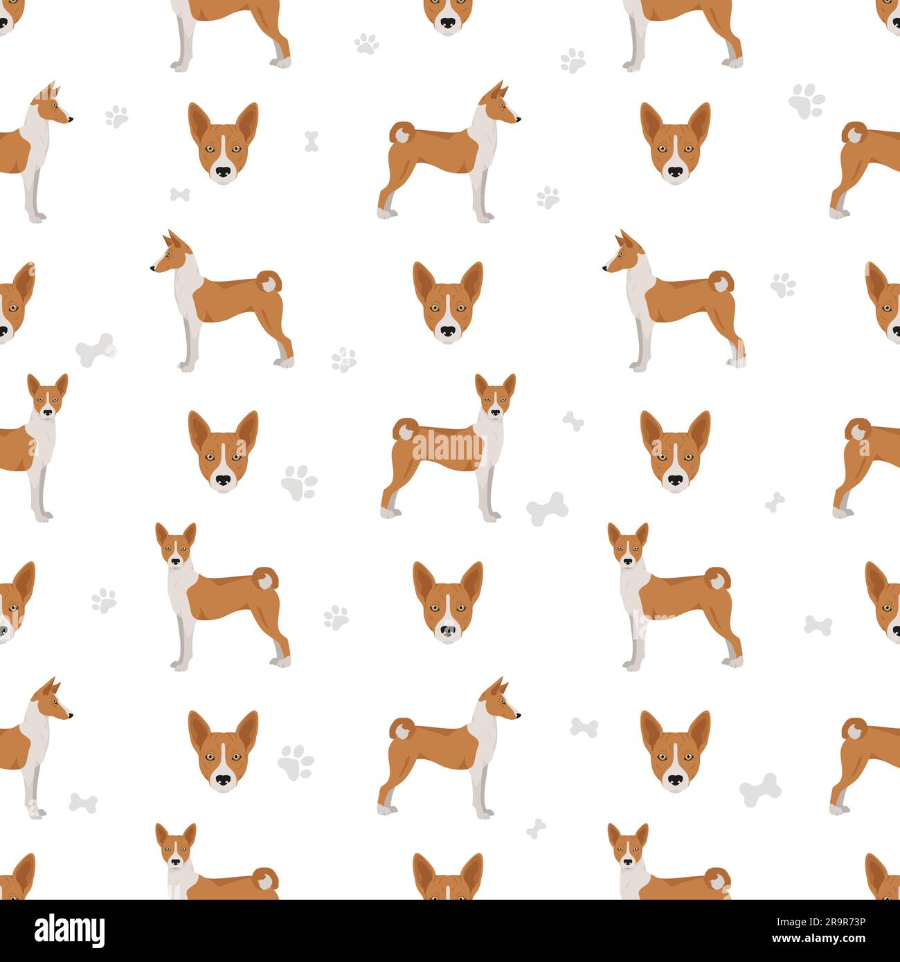 Basenji all colours seamless pattern. Different coat colors and poses set.  Vector illustration Stock Vector