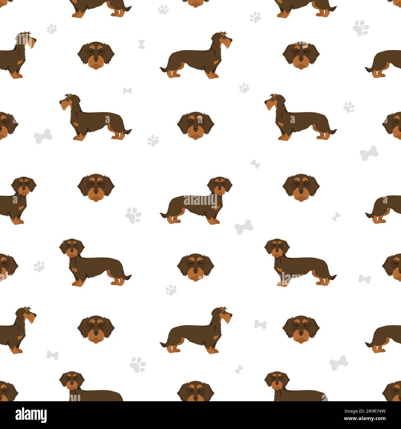 Dachshund wire haired seamless pattern. Different poses, coat colors set.  Vector illustration Stock Vector