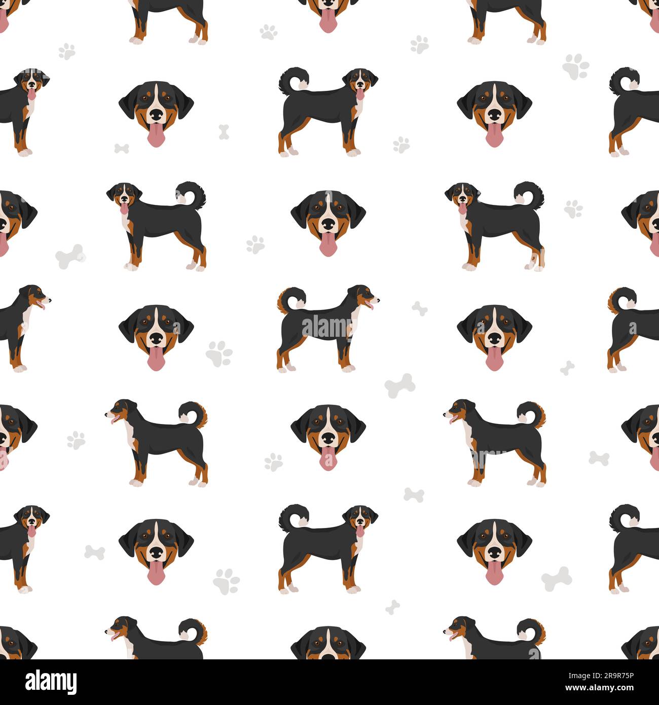 Appenzeller sennenhund all colours seamless pattern. Different coat