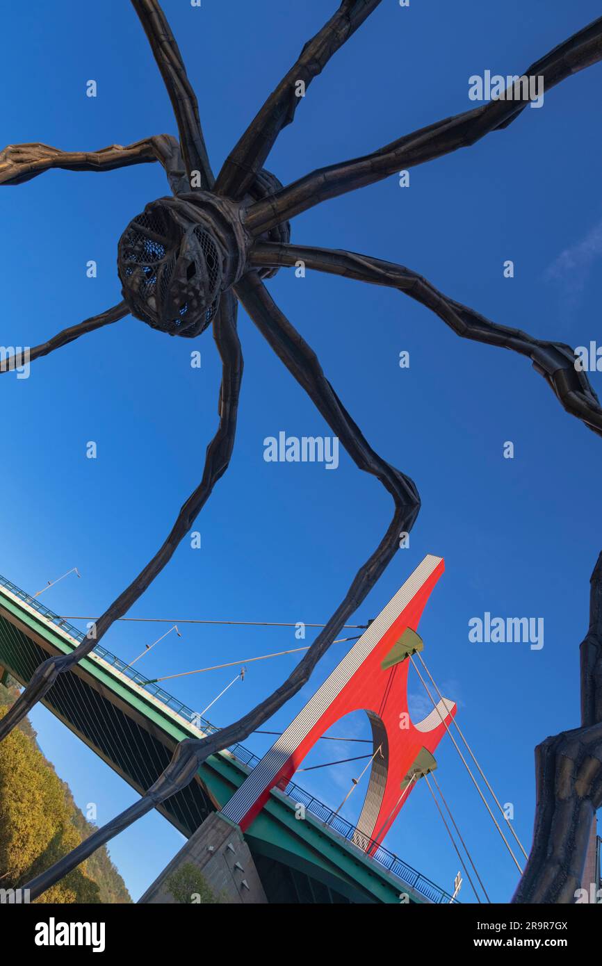 Spain, Basque Country, Bilbao, Guggenheim Museum area, Puente de la Salve seen through the legs of Maman which is a bronze, stainless steel, and marbl Stock Photo