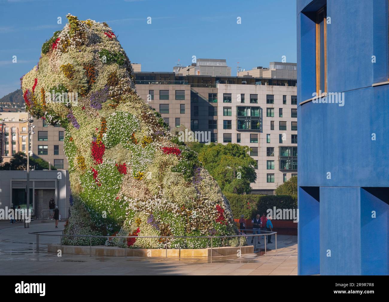Spain, Basque Country, Bilbao, Guggenheim Museum area, Puppy which is a 12.4 metre tall flower covered sculpture of a west highland terrier by America Stock Photo