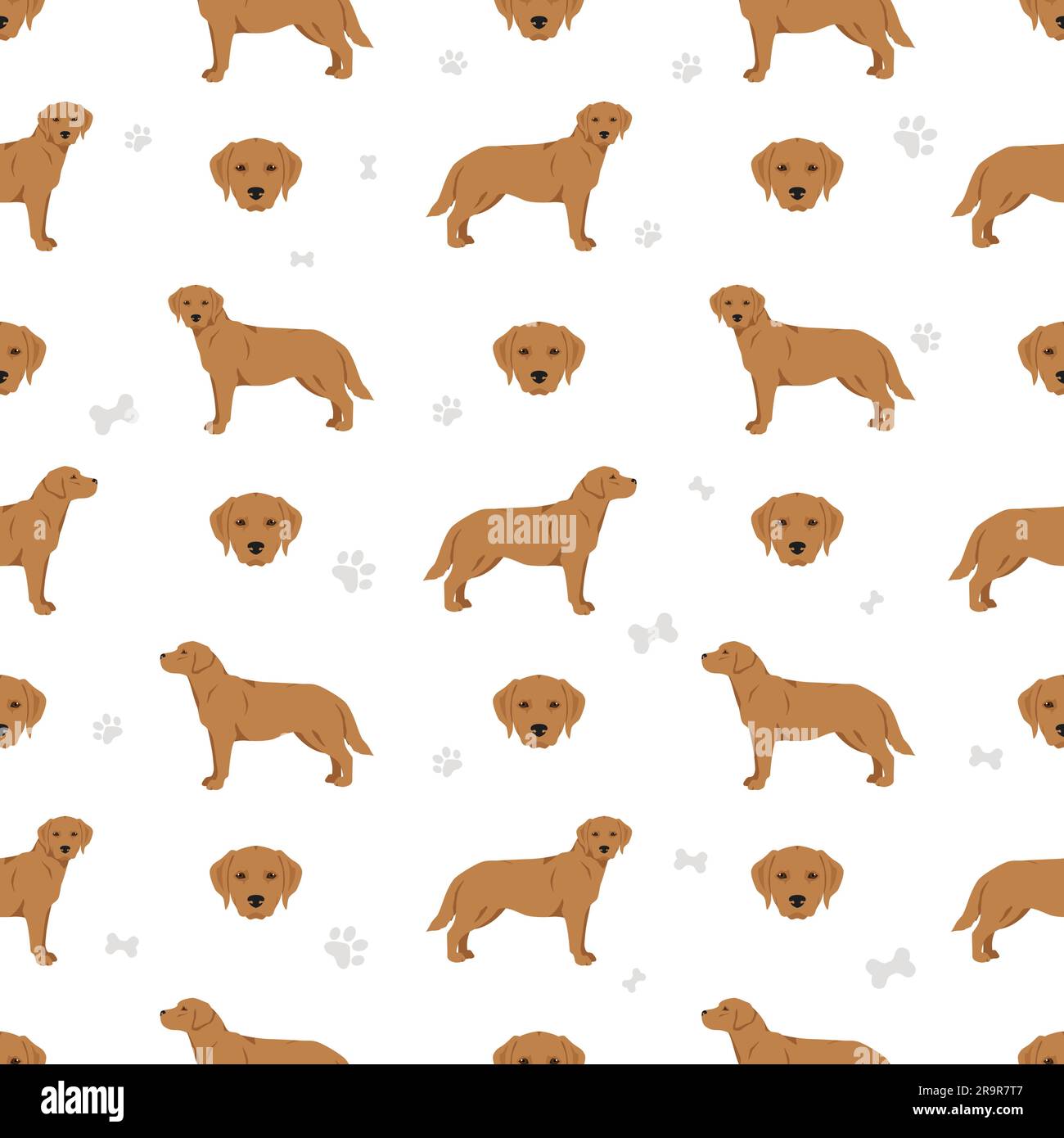 Labrador retriever dogs in different poses and coat colors seamless