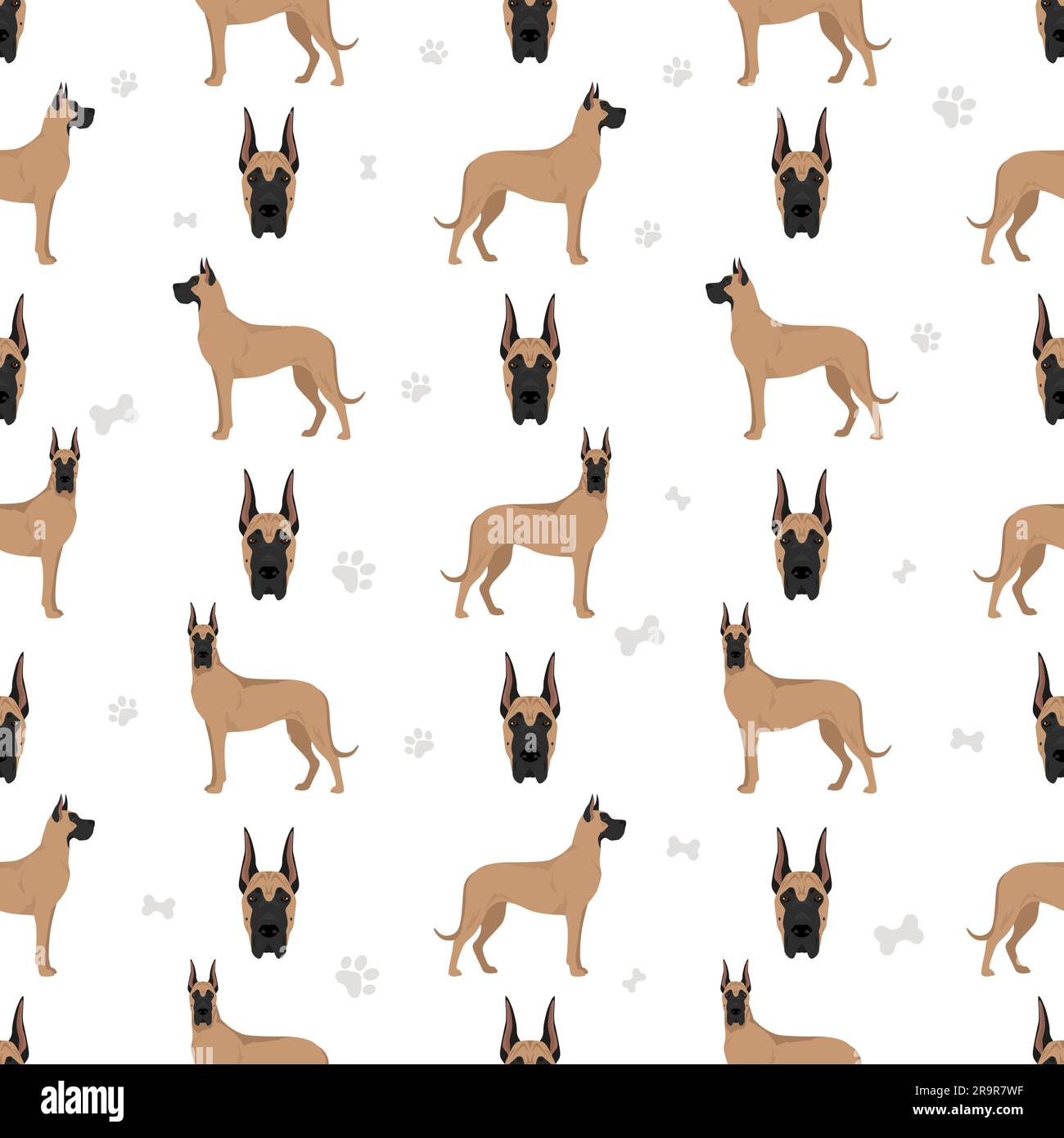Great dane seamless pattern. Different variaties of coat color dog set