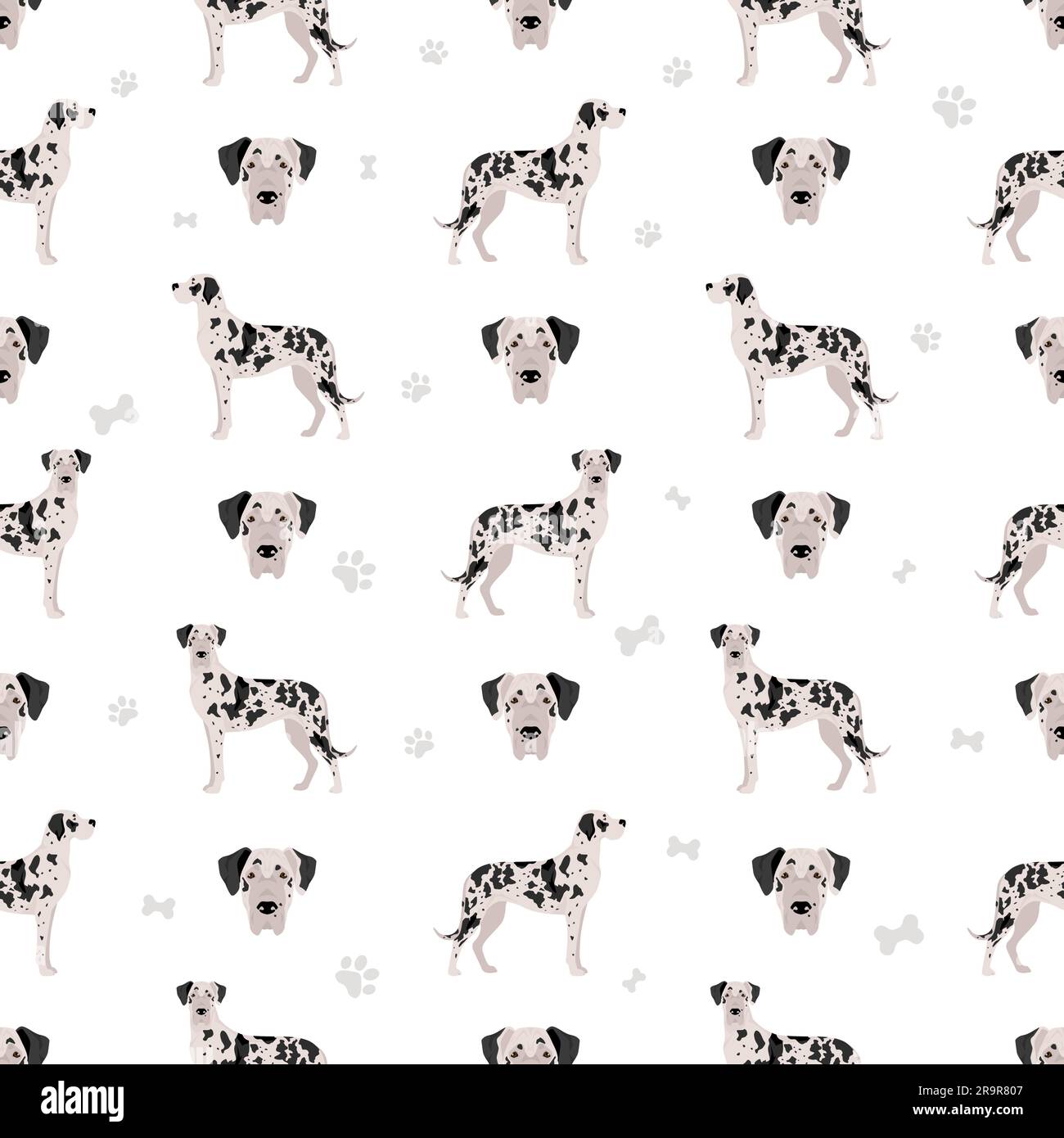 Great dane seamless pattern. Different variaties of coat color dog set
