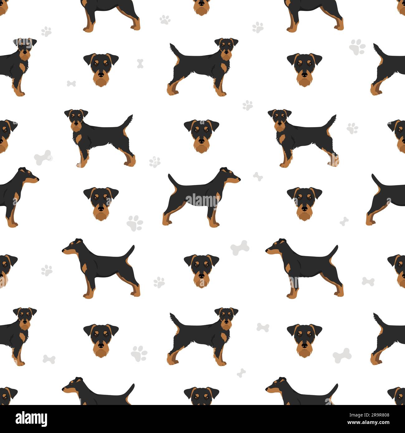 Jagdterrier seamless pattern. Different poses, coat colors set.  Vector illustration Stock Vector