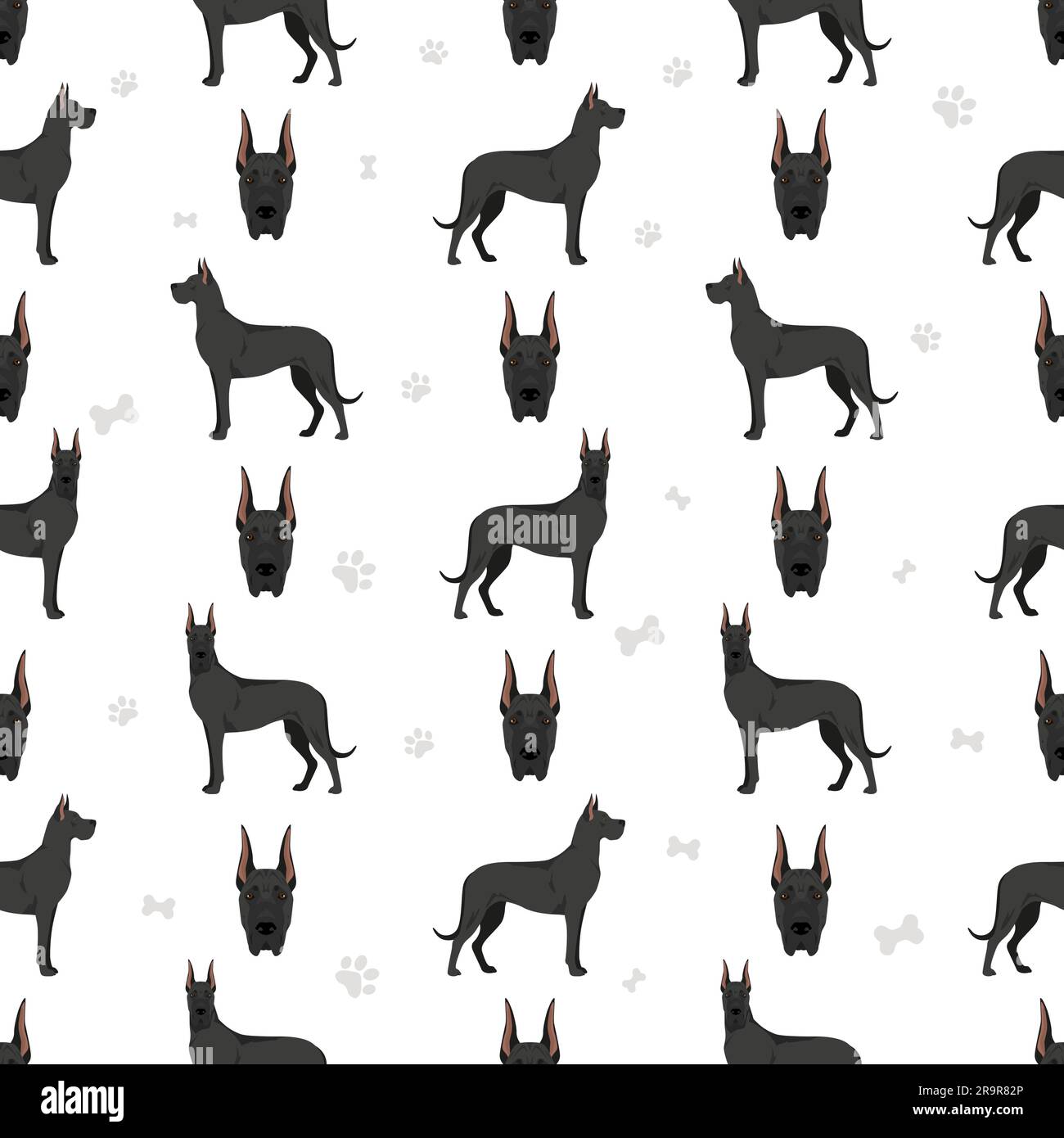 Great dane seamless pattern. Different variaties of coat color dog set