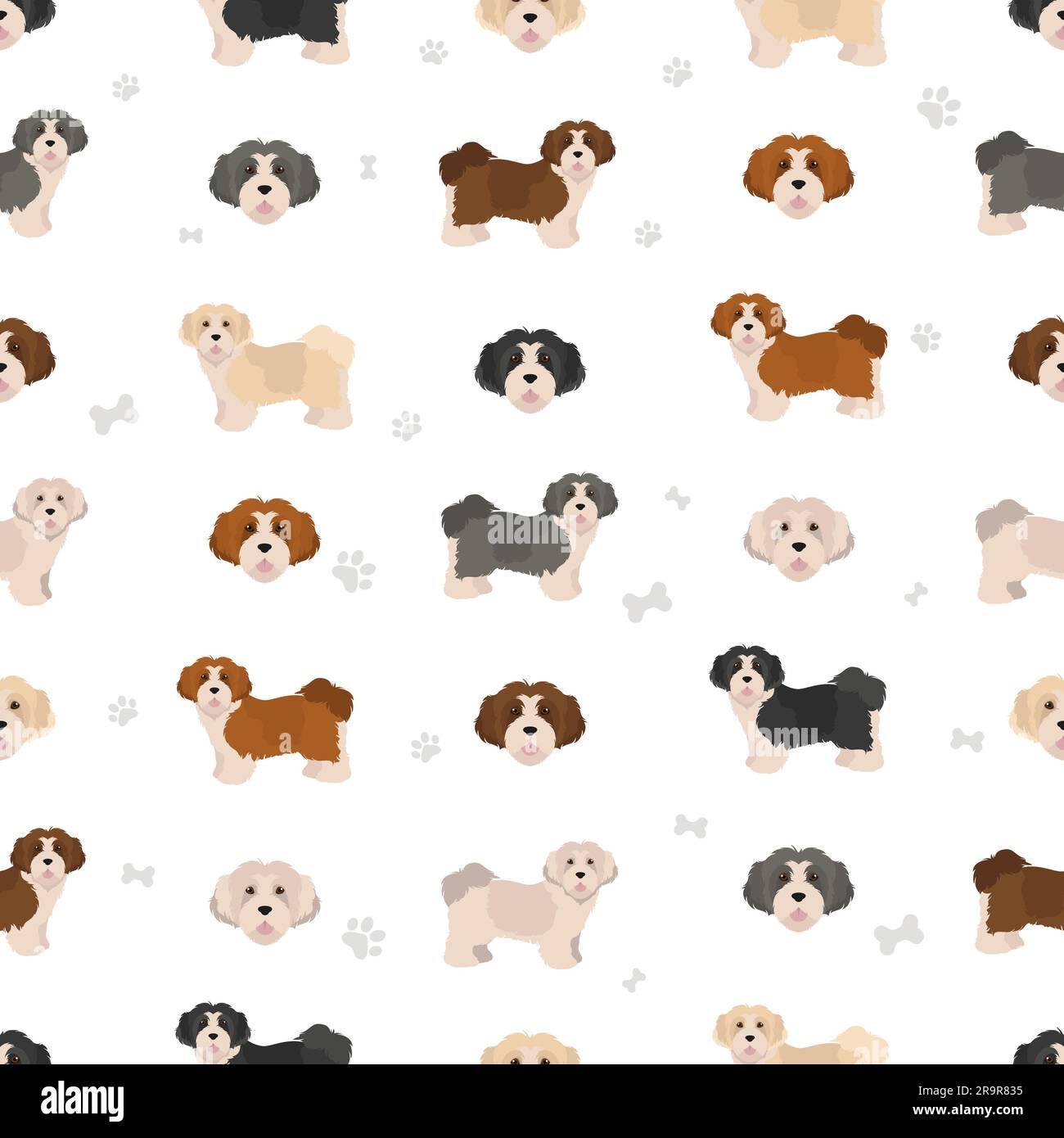 Havanese dog seamless pattern. Different poses, coat colors set. Vector