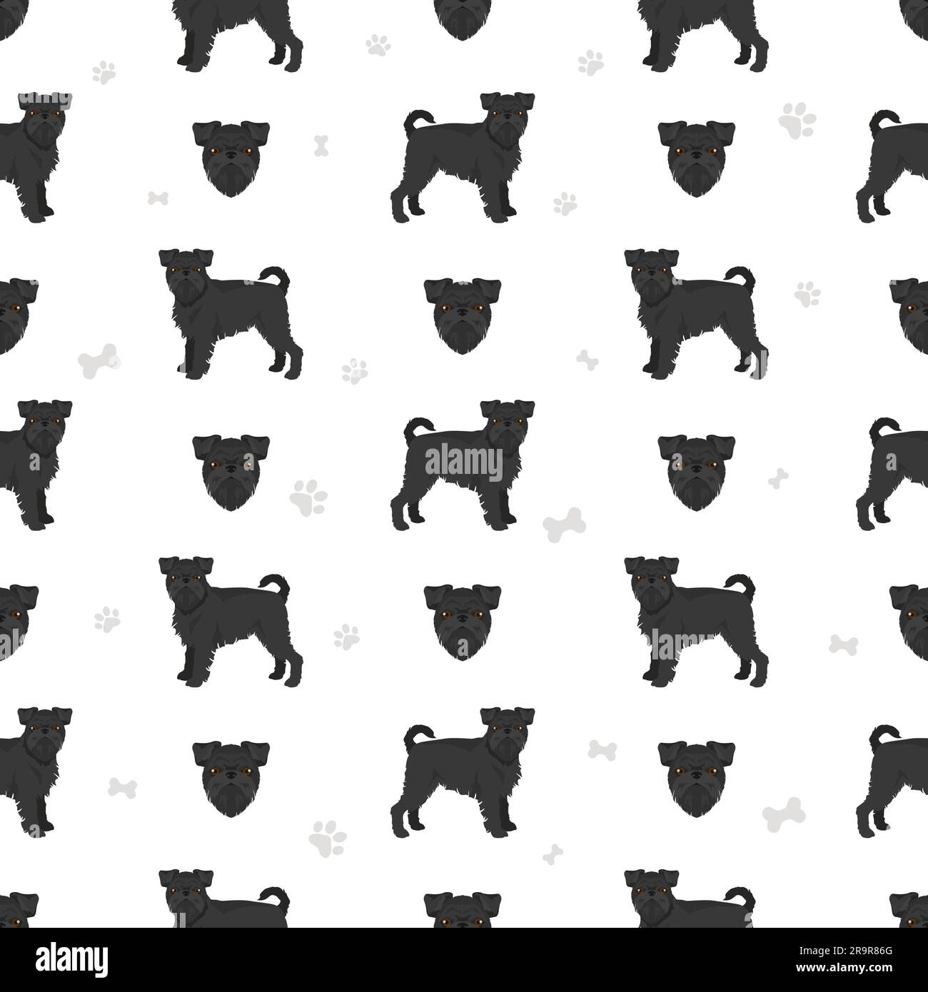 Griffon Belge seamless pattern. Different poses, coat colors set.  Vector illustration Stock Vector