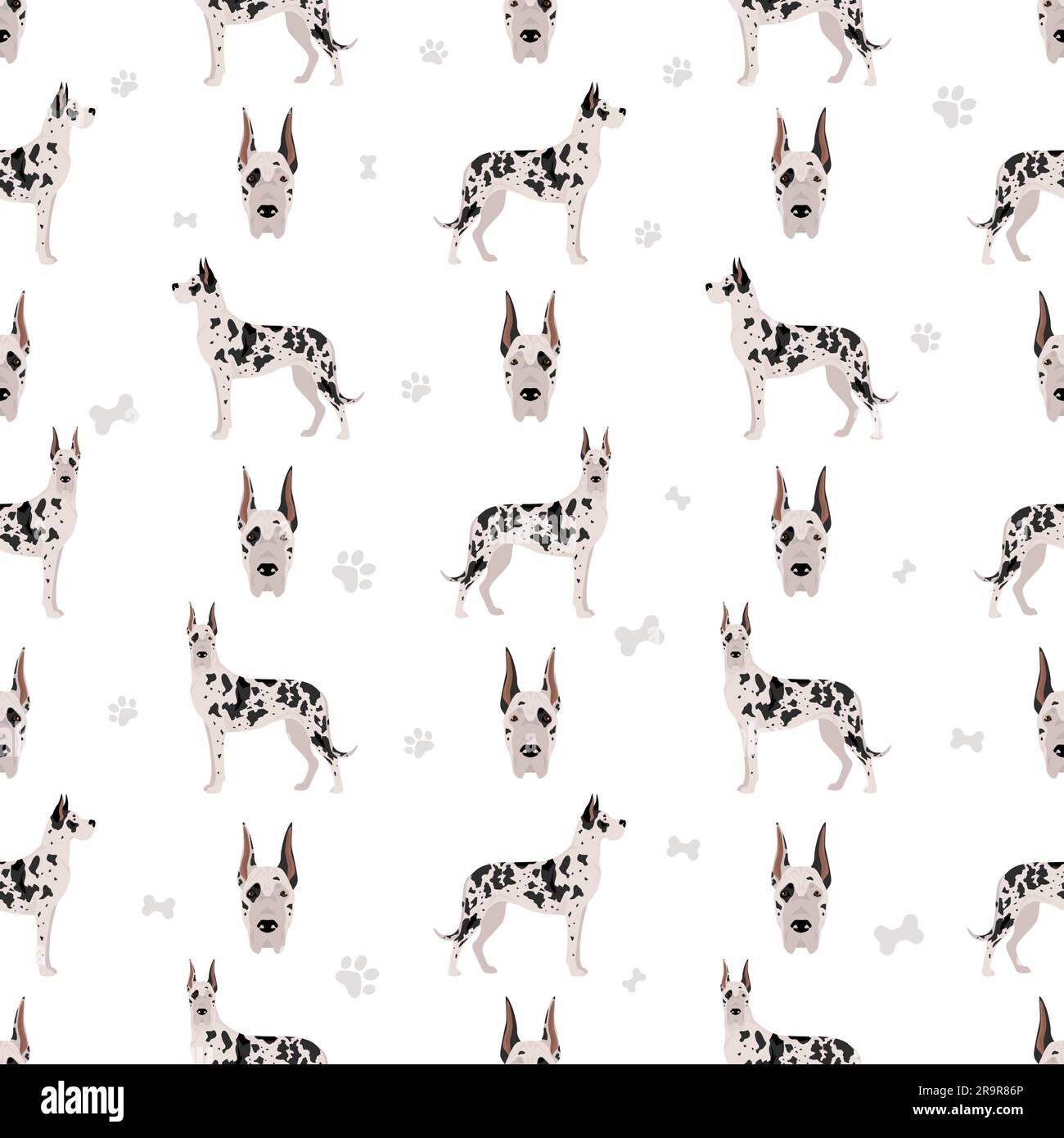 Great dane seamless pattern. Different variaties of coat color dog set.  Vector illustration Stock Vector