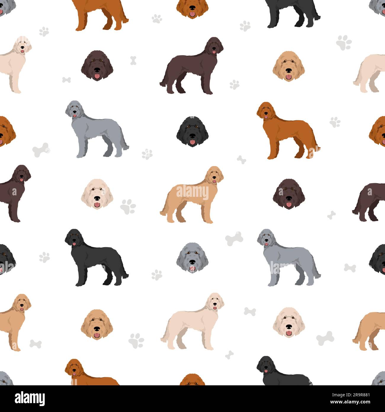 Standard poodle seamless pattern. Different poses, coat colors set. Vector illustration Stock
