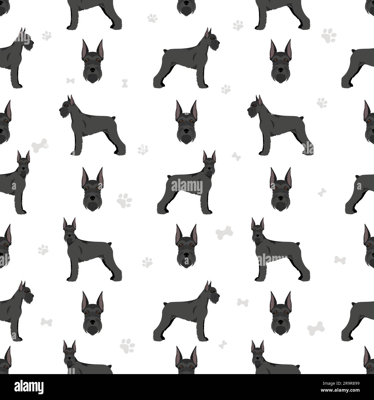 Schhnauzer Giant seamless pattern. Different poses, coat colors set