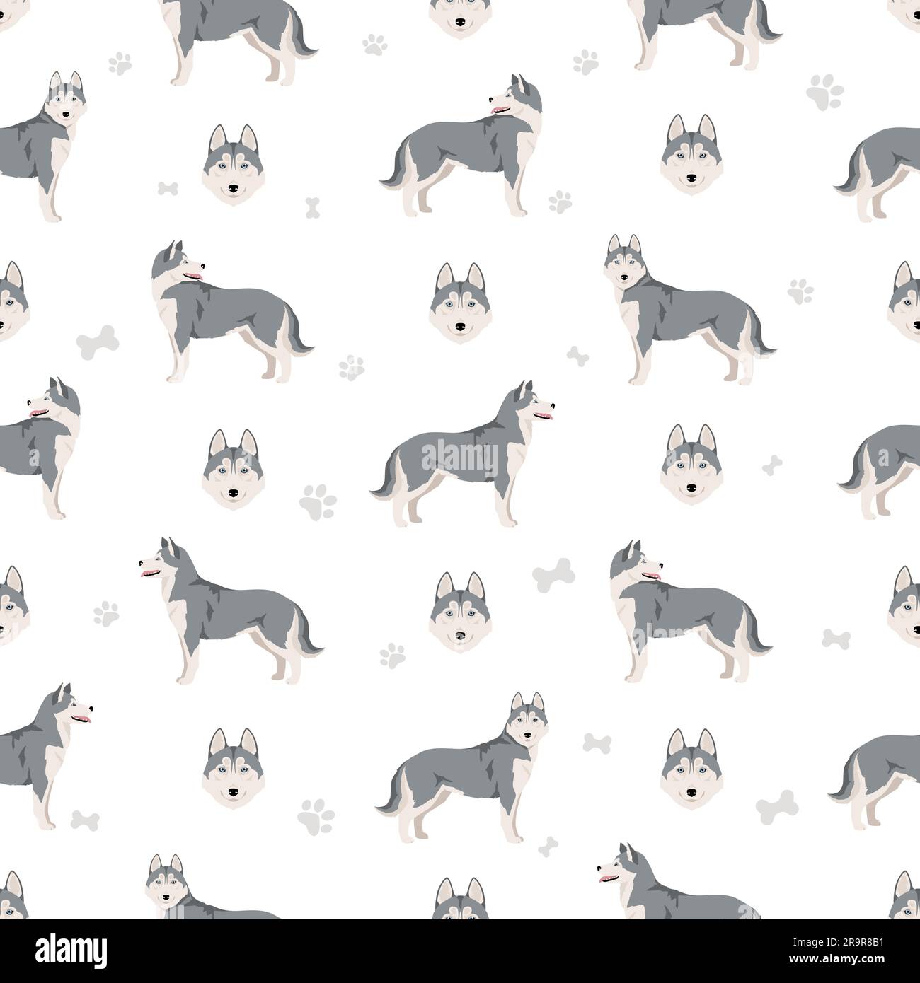 Siberian Husky seamless pattern. All coat colors set. All dog breeds