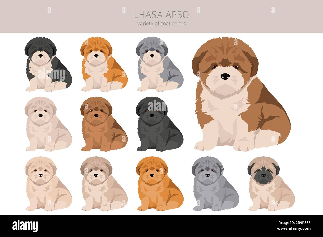 Lhasa Apso puppies clipart. Different poses, coat colors set.  Vector illustration Stock Vector