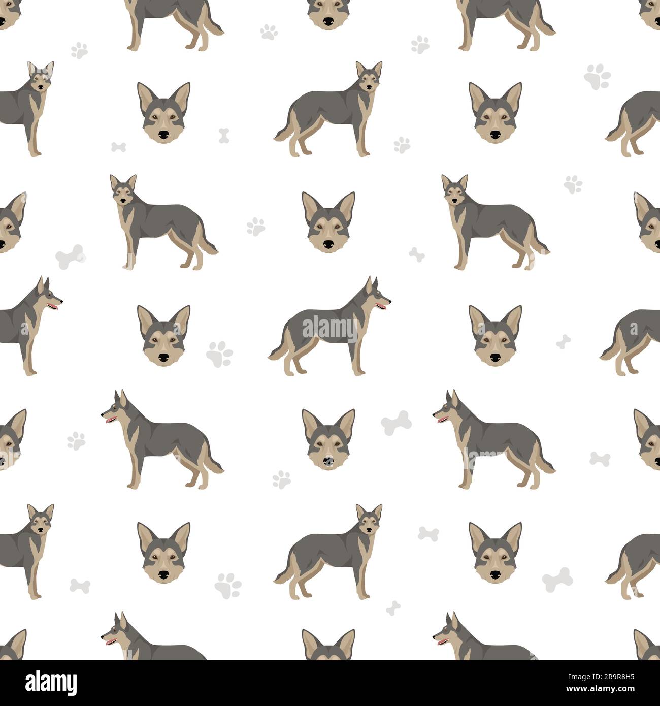 Saarloos Wolfdog seamless pattern. All coat colors set.  All dog breeds characteristics infographic. Vector illustration Stock Vector