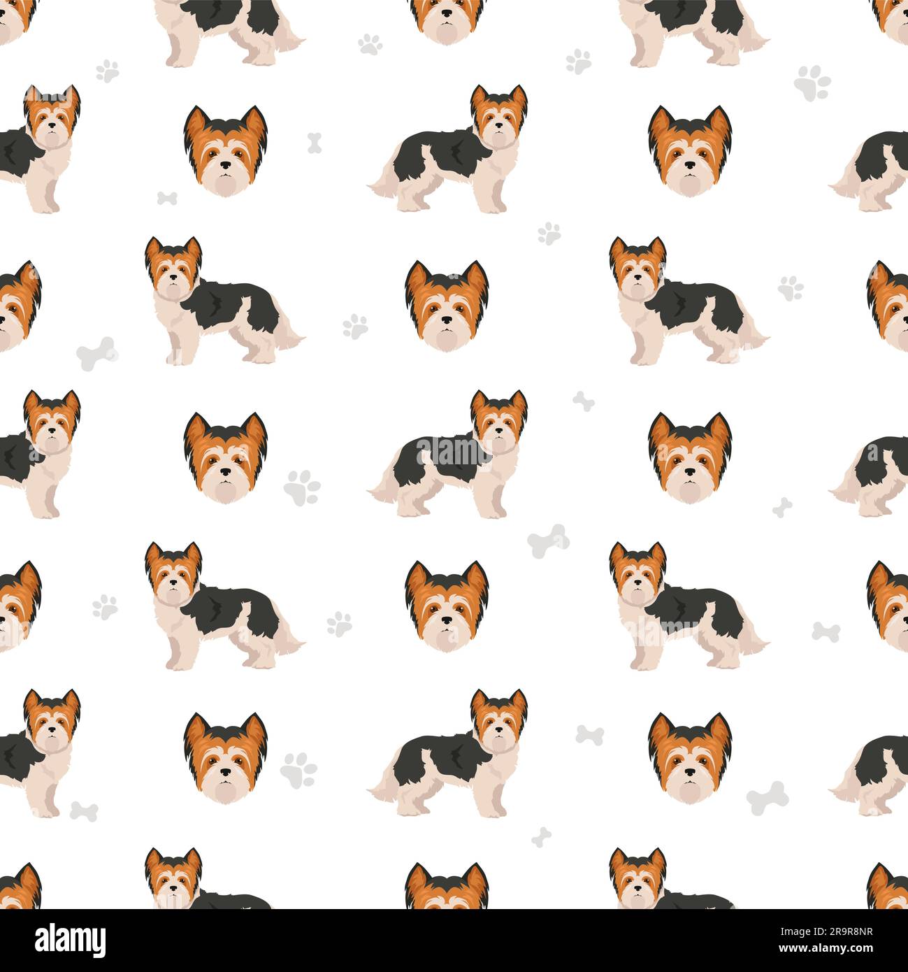 Biewer Yorkshire Terrier seamless pattern. Different poses, coat colors