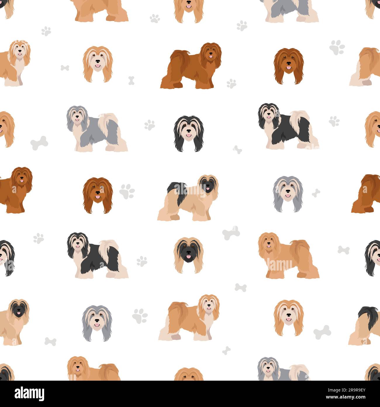 Tibetan terrier seamless pattern. Different poses, coat colors set.  Vector illustration Stock Vector