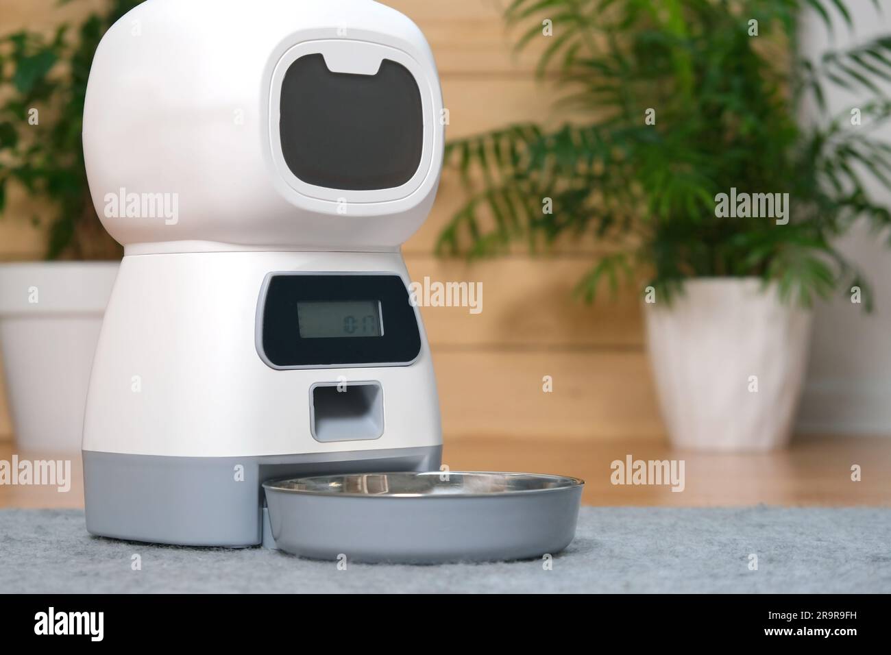 Image showcasing an automatic feeder. Automatic pet food dispenser on the floor of the ...