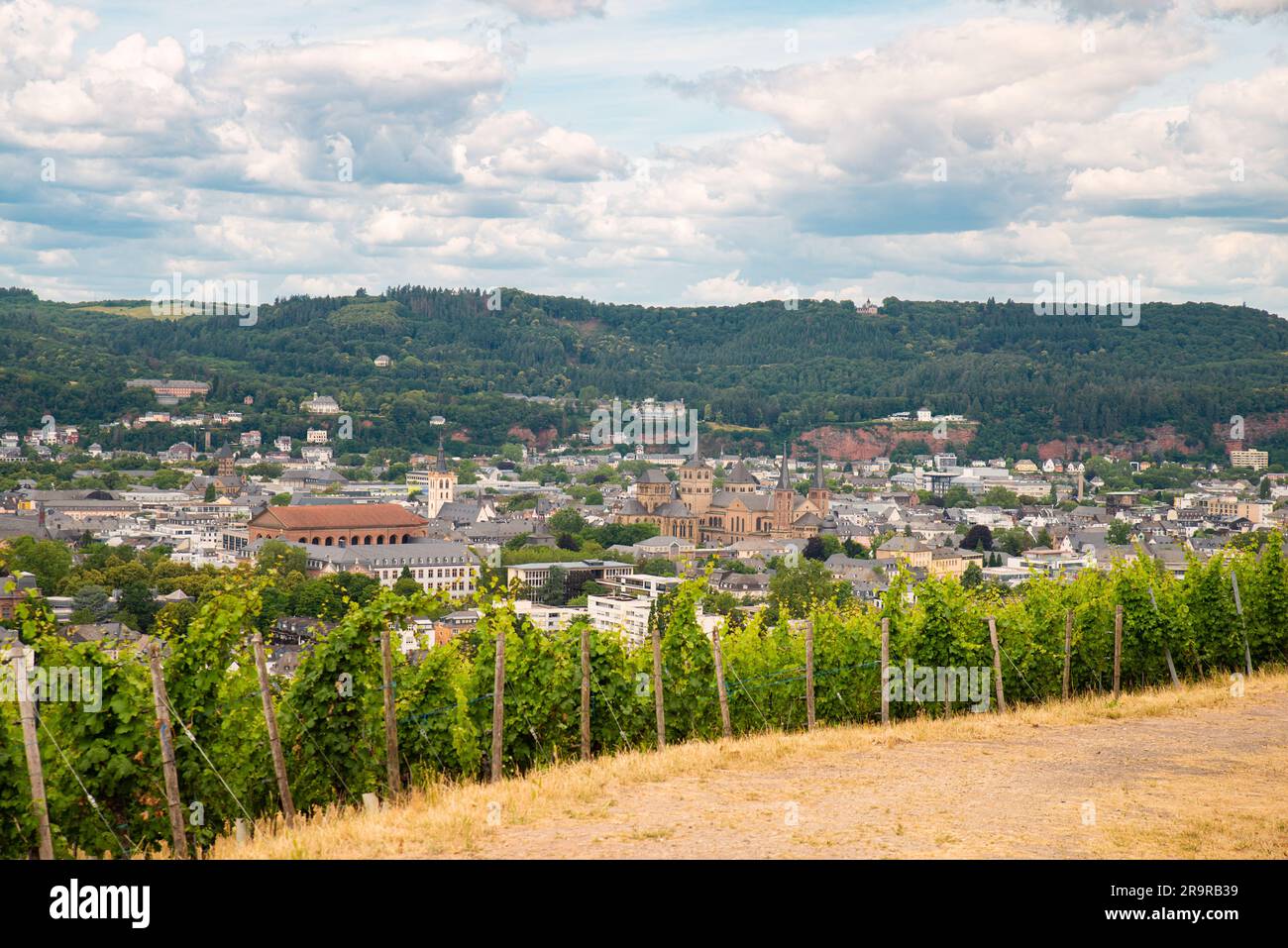 Vineyard with view of the ancient roman city of Trier, the Moselle Valley in Germany, landscape in rhineland palatine Stock Photo