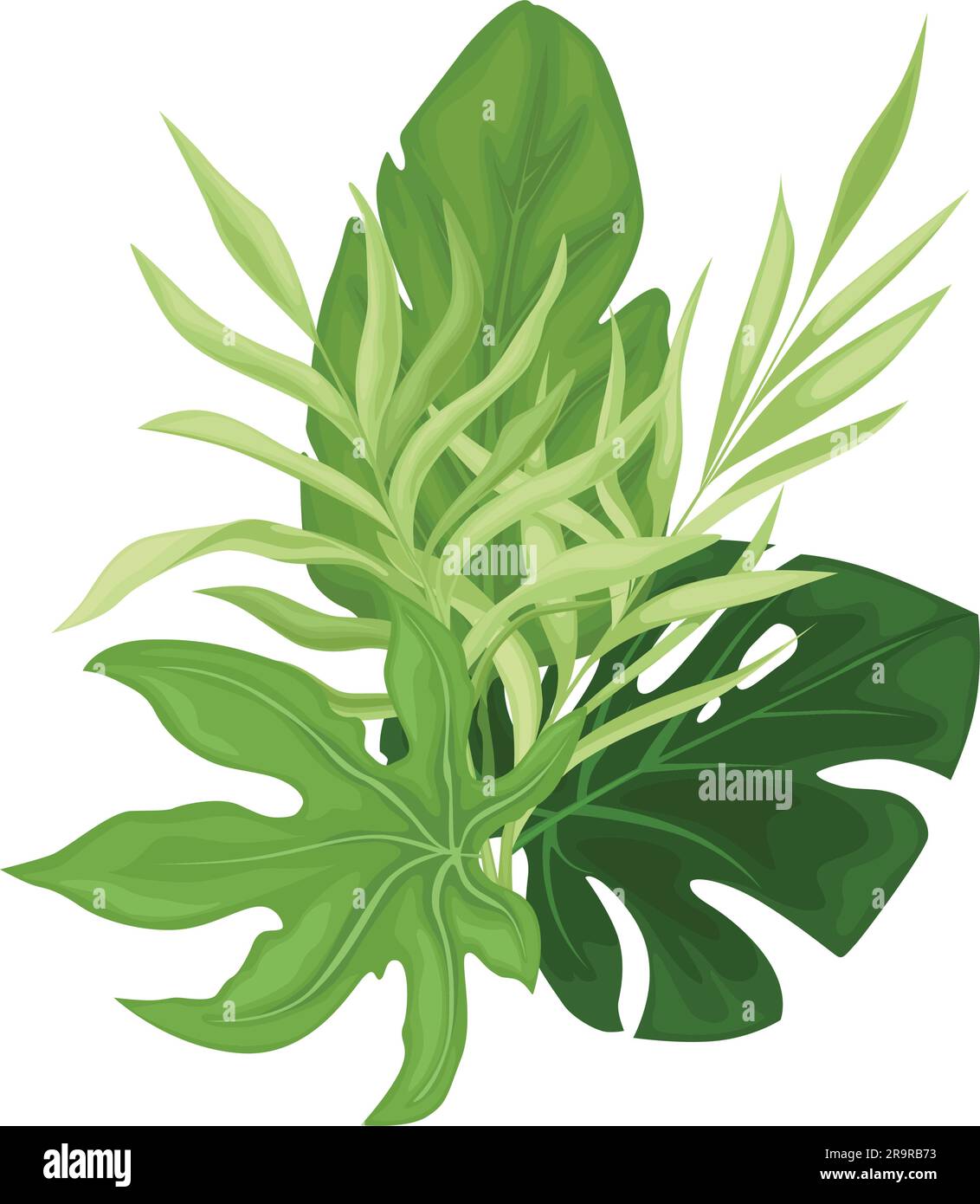 Green tropical leaves Stock Vector Image & Art - Alamy