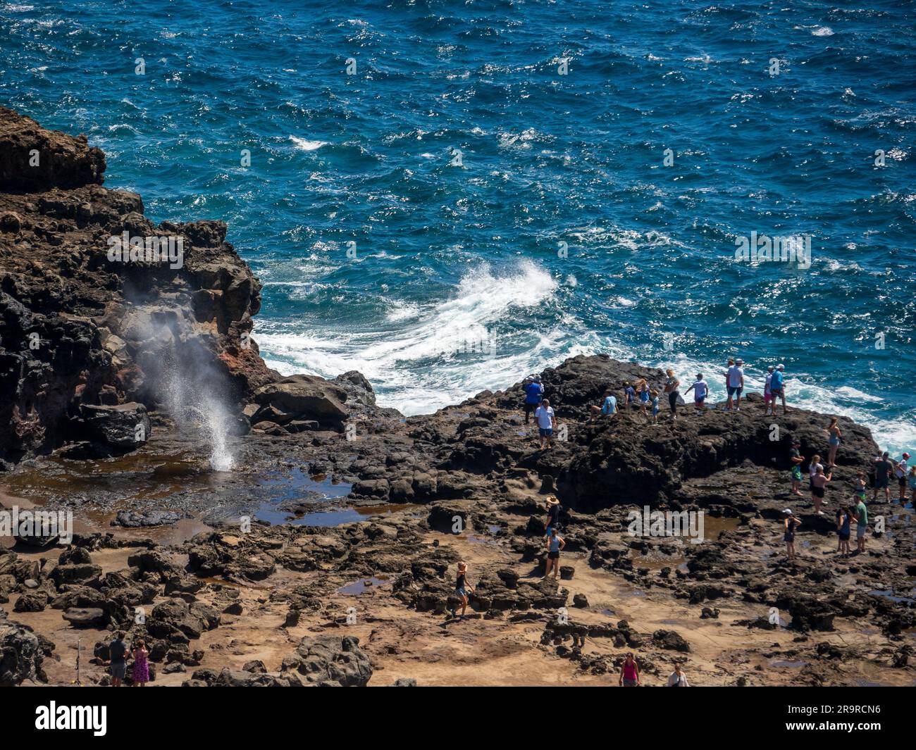 Tourist Threw Rock Maui The High Cost of Viral Misconduct