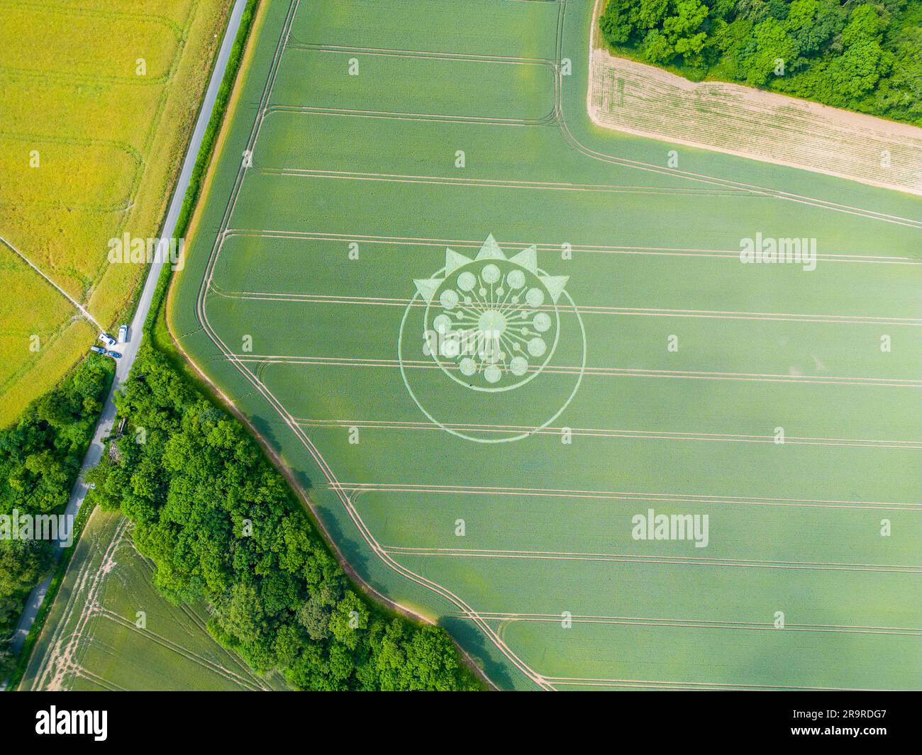 A crop circle, crop formation, or corn circle is a pattern created by flattening a crop.  Owslebury, Hampshire. Stock Photo