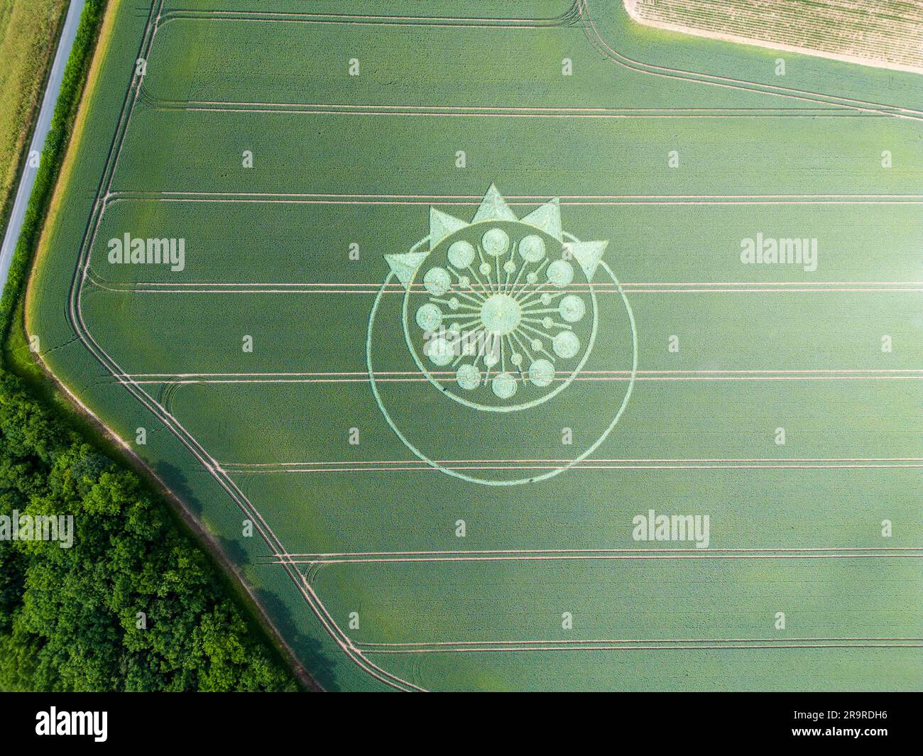 A crop circle, crop formation, or corn circle is a pattern created by flattening a crop.  Owslebury, Hampshire. Stock Photo