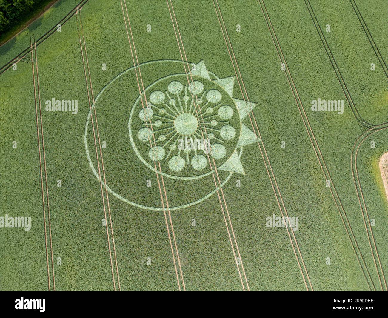 A crop circle, crop formation, or corn circle is a pattern created by flattening a crop.  Owslebury, Hampshire. Stock Photo