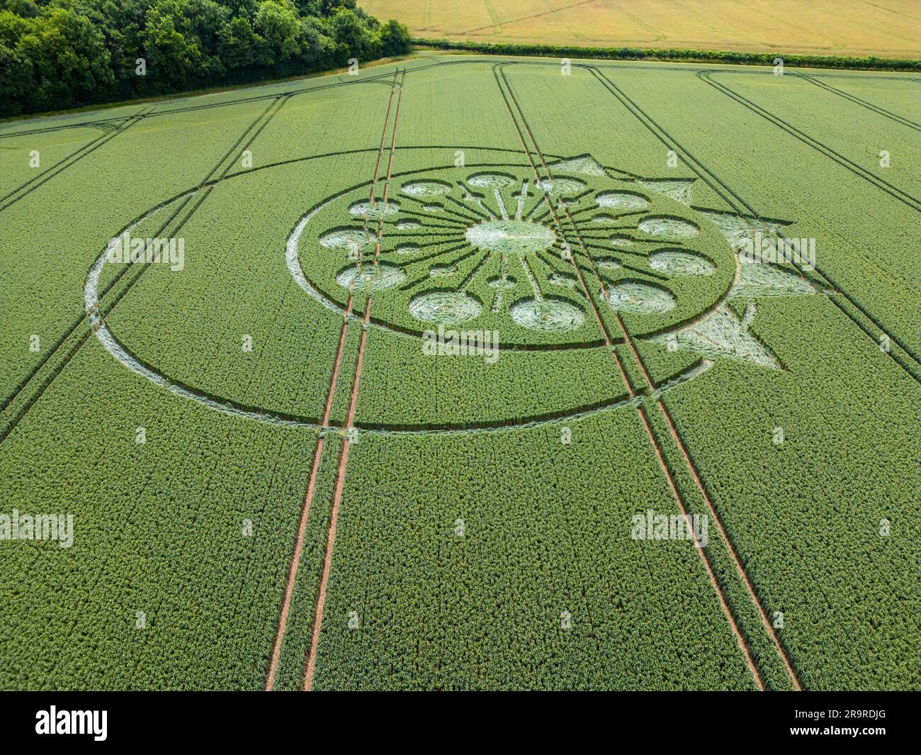 A crop circle, crop formation, or corn circle is a pattern created by flattening a crop.  Owslebury, Hampshire. Stock Photo