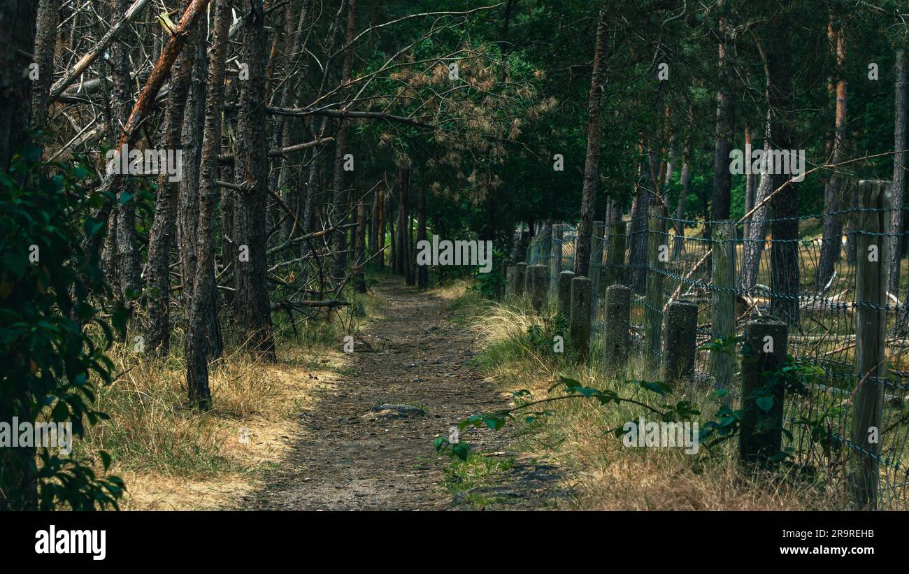 A mysterious and empty pathway veiled in darkness runs alongside a barbed wire fence Stock Photo