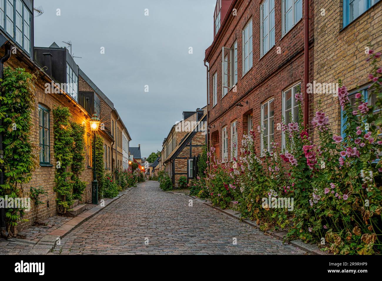 Hjortgatan is a scenic alley with hollyhocks in the old town of Lund at the blue hour, Lund, Sweden, July 17, 2022 Stock Photo