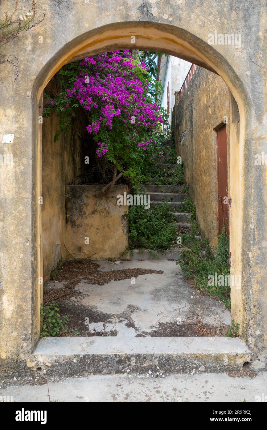 Overhung pathway hi-res stock photography and images - Alamy