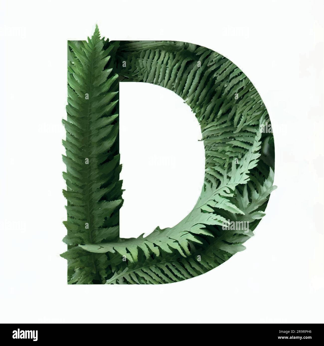 capital letter D in fern on a white canvas Stock Vector Image Art Alamy capital letter D in fern on a white canvas Stock Vector Image Art Alamy