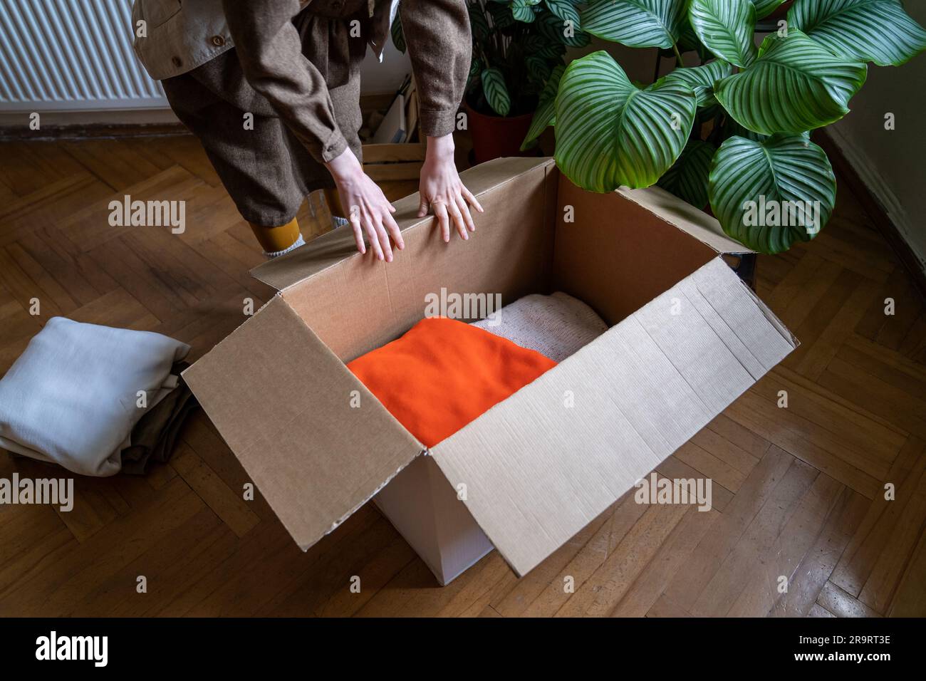 Closeup women hands put different clothes in cardboard box for charity