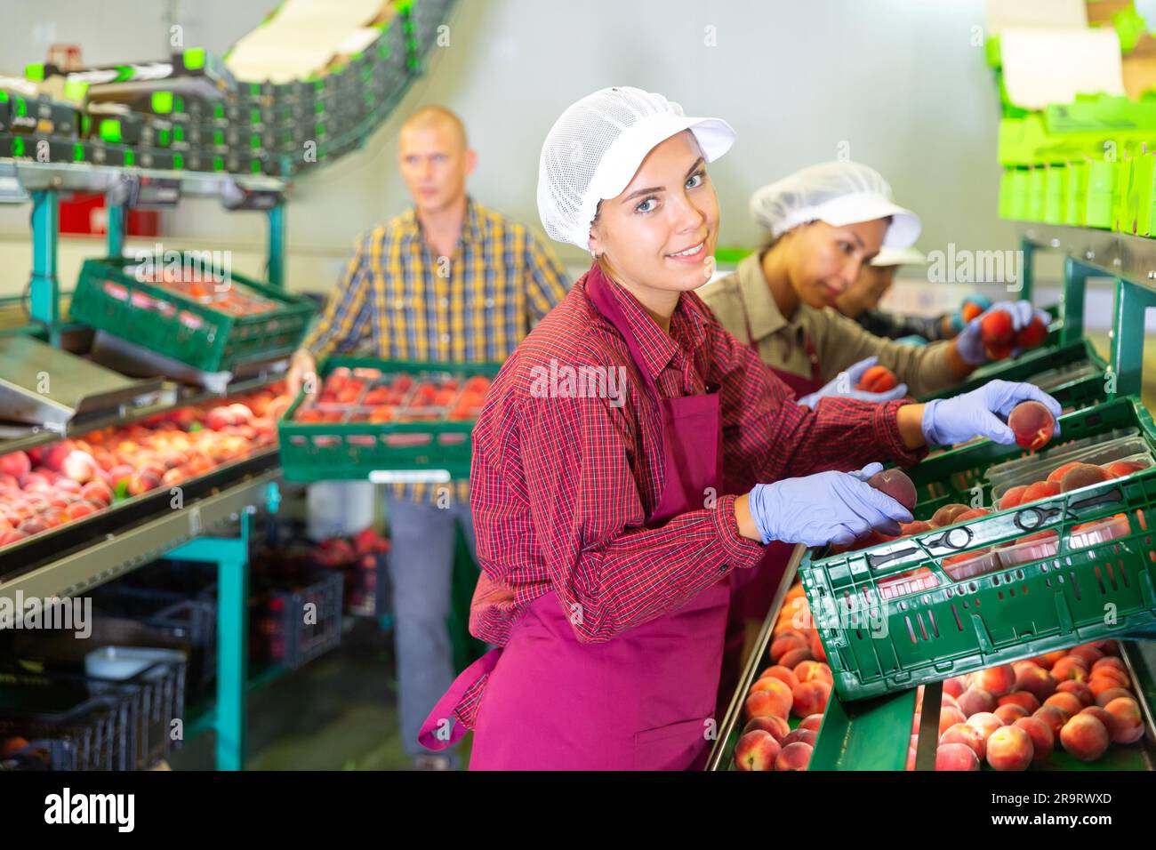 Female and male workers packaging peaches Stock Photo - Alamy