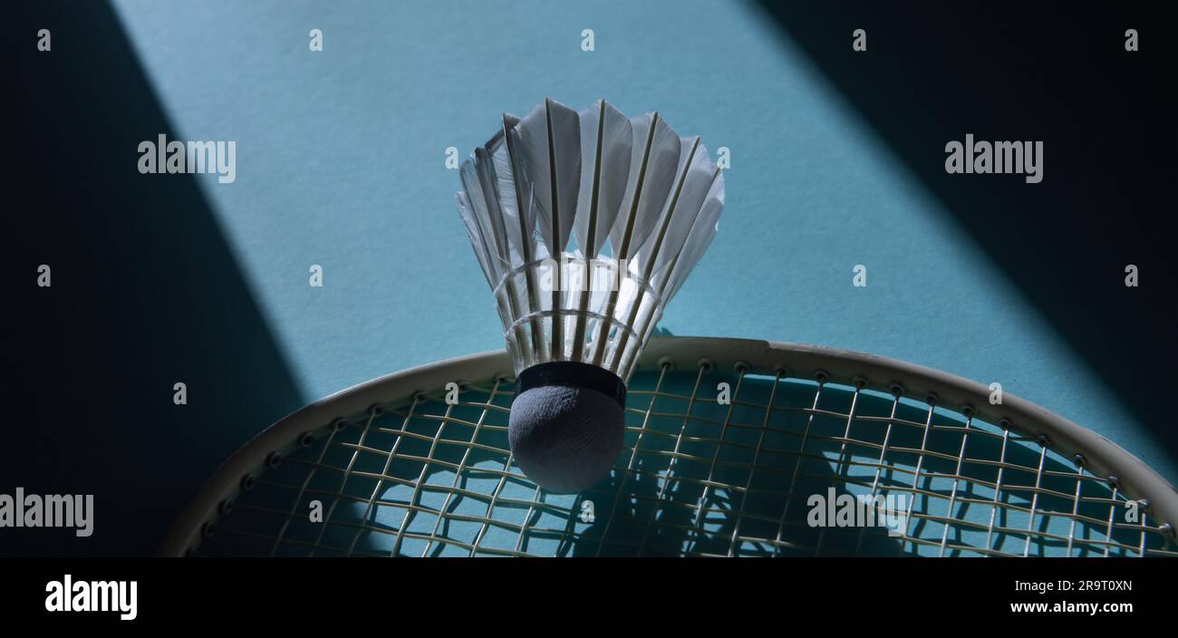 Badminton racket and shuttlecock blue background. Horizontal sport ...