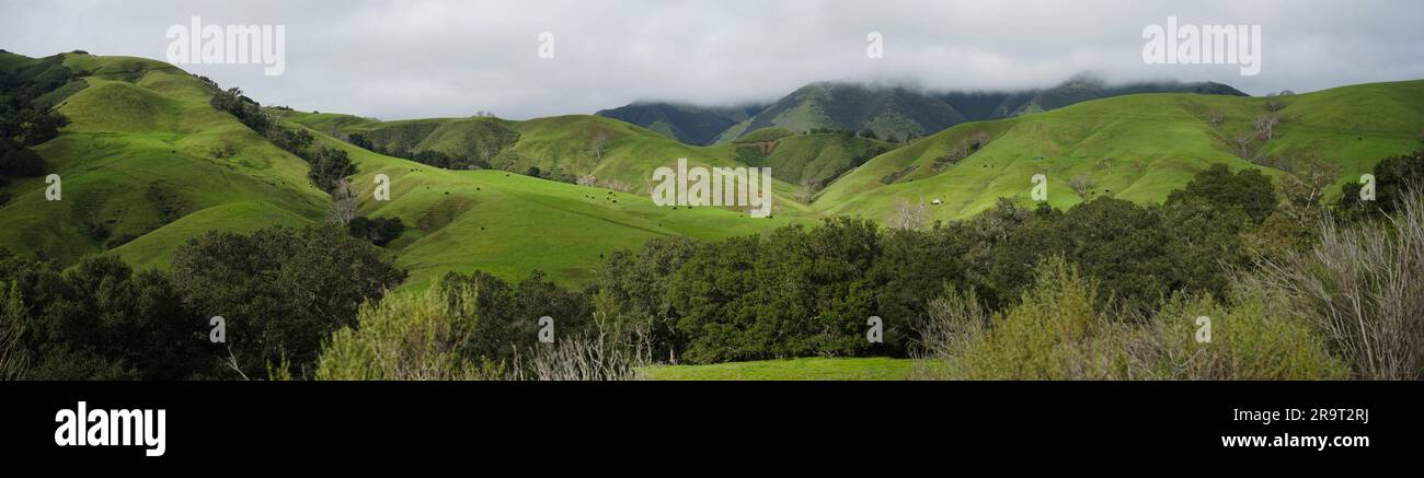 View of rolling hills, Green Valley, California, USA Stock Photo