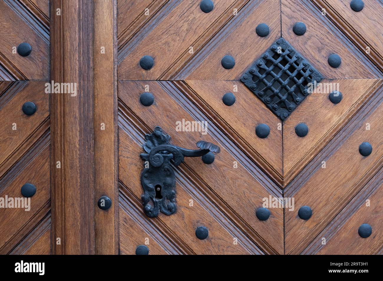 Gallery image with a fresh perspective