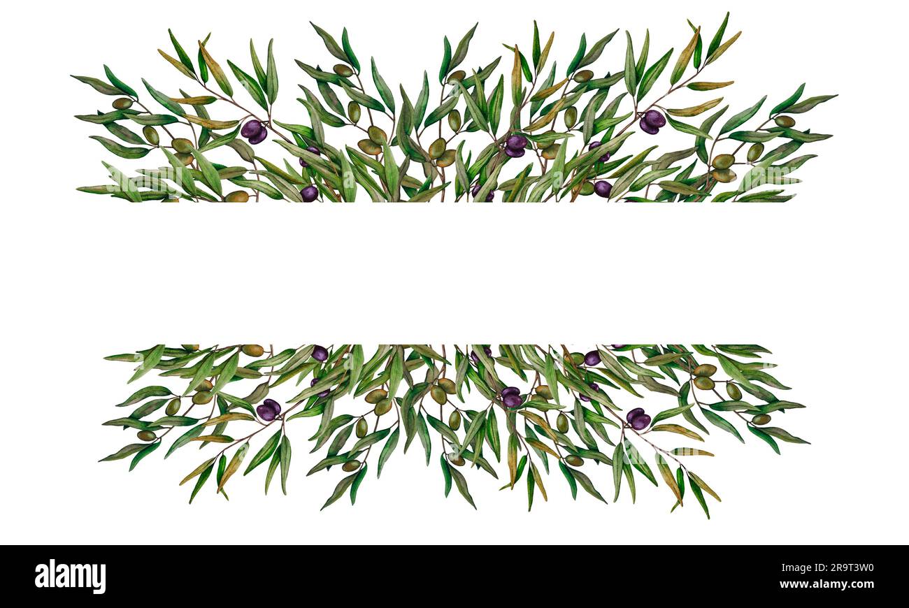Watercolor border with green and black olive berries and branch. Hand ...